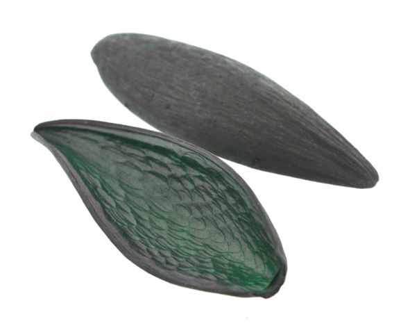Casca canoinha - Verde - Tamanhos variados (5 peças)